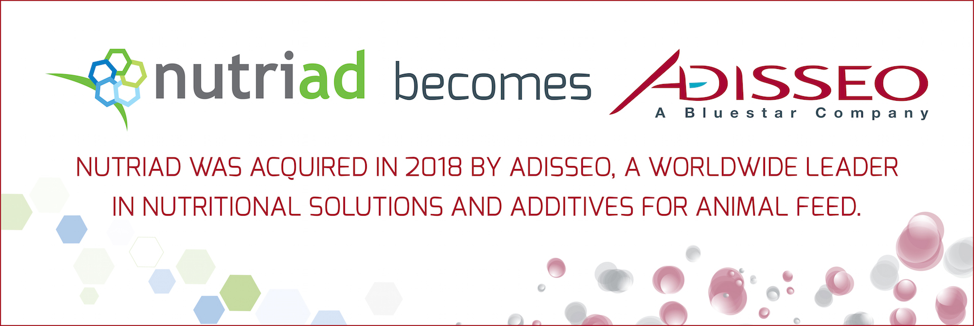 mycotoxin management feed additives- adisseo feedsolutions