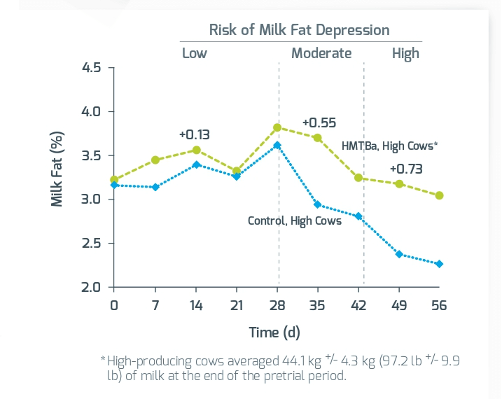 hmtba-increases-milk-fat