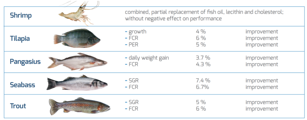 Digestive & metabolic enhancer powered by bile salts - Adisseo